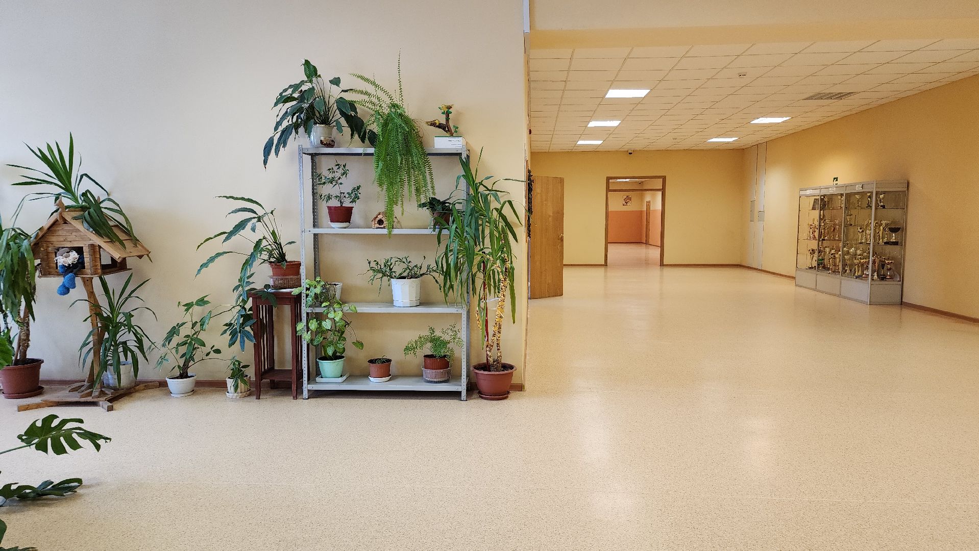 запись в школу, образование, начальная школа, Старая Купавна, Богородский городской округ,