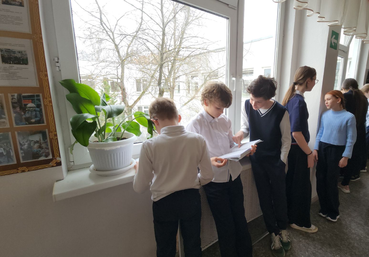 Химки, Образование, Школы, первоклассники,