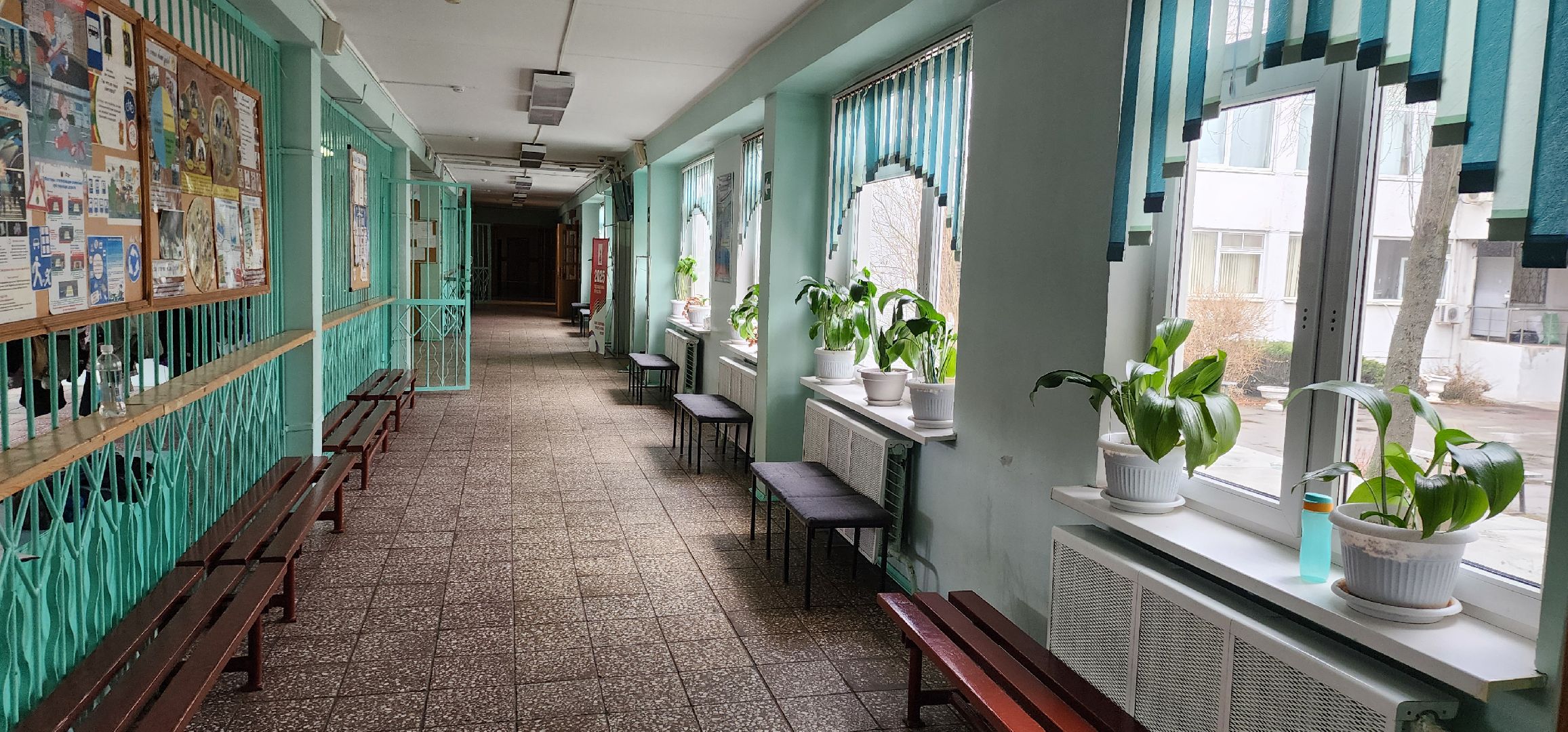 Химки, Образование, Школы, Первоклассники,