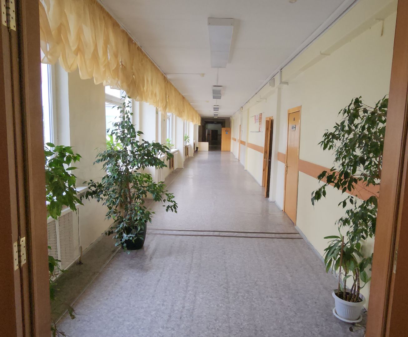 Химки, Образование, Школы, Первоклассники,