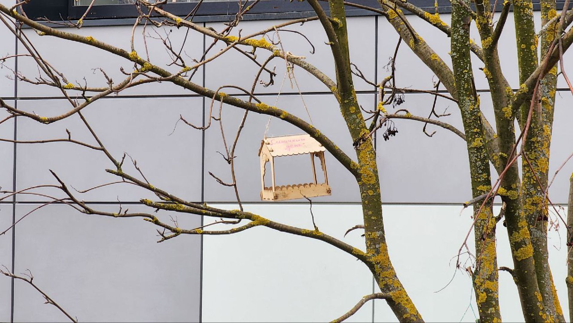 Луховицы, первый класс,