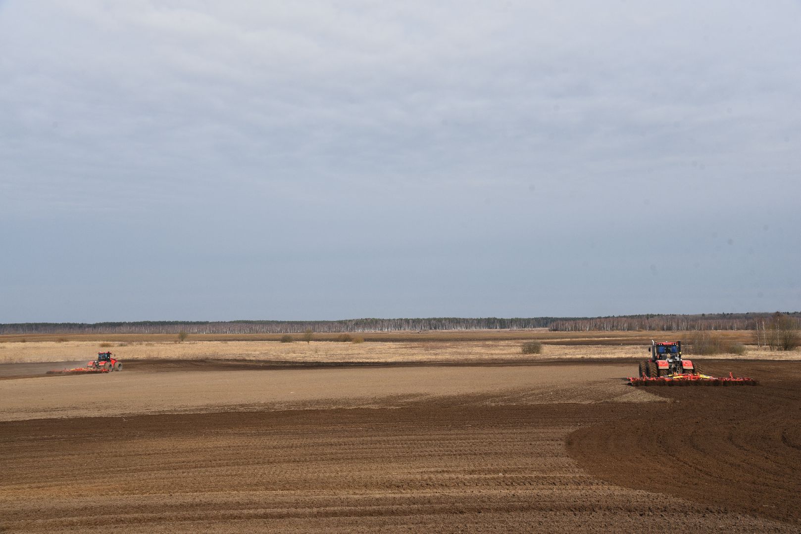 лотошино, сельское хозяйство, яровой сев,