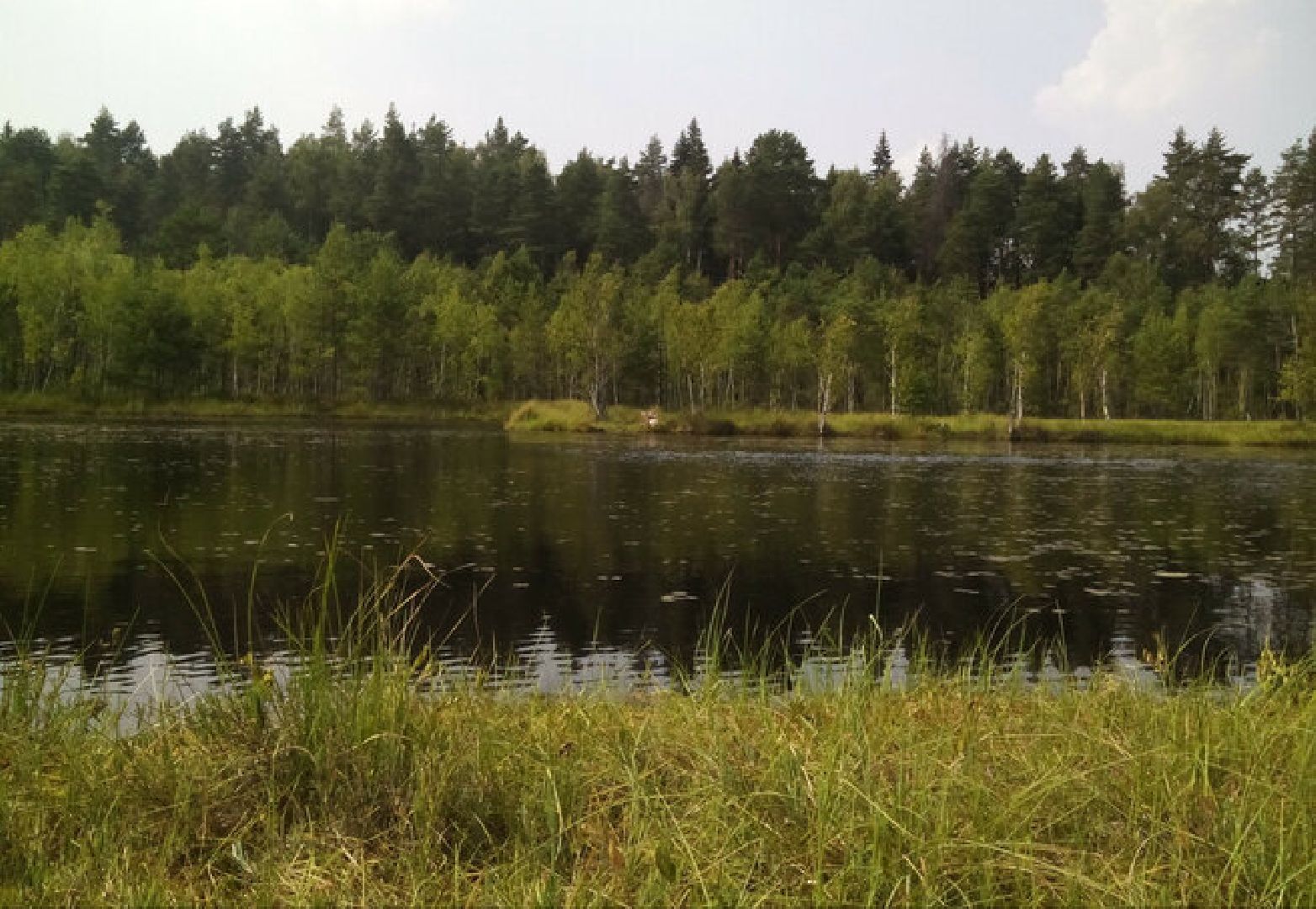 Звенигород, музей, Манеж, уникальная природа Звенигорода, интерактивная лекция