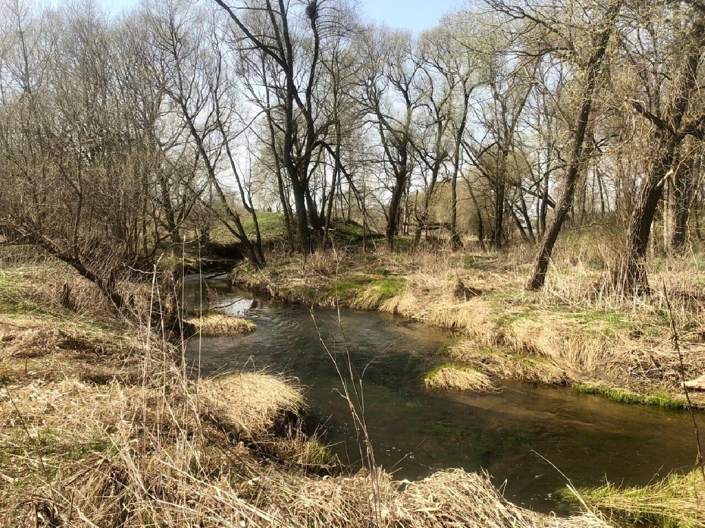 Звенигород, музей, Манеж, уникальная природа Звенигорода, интерактивная лекция