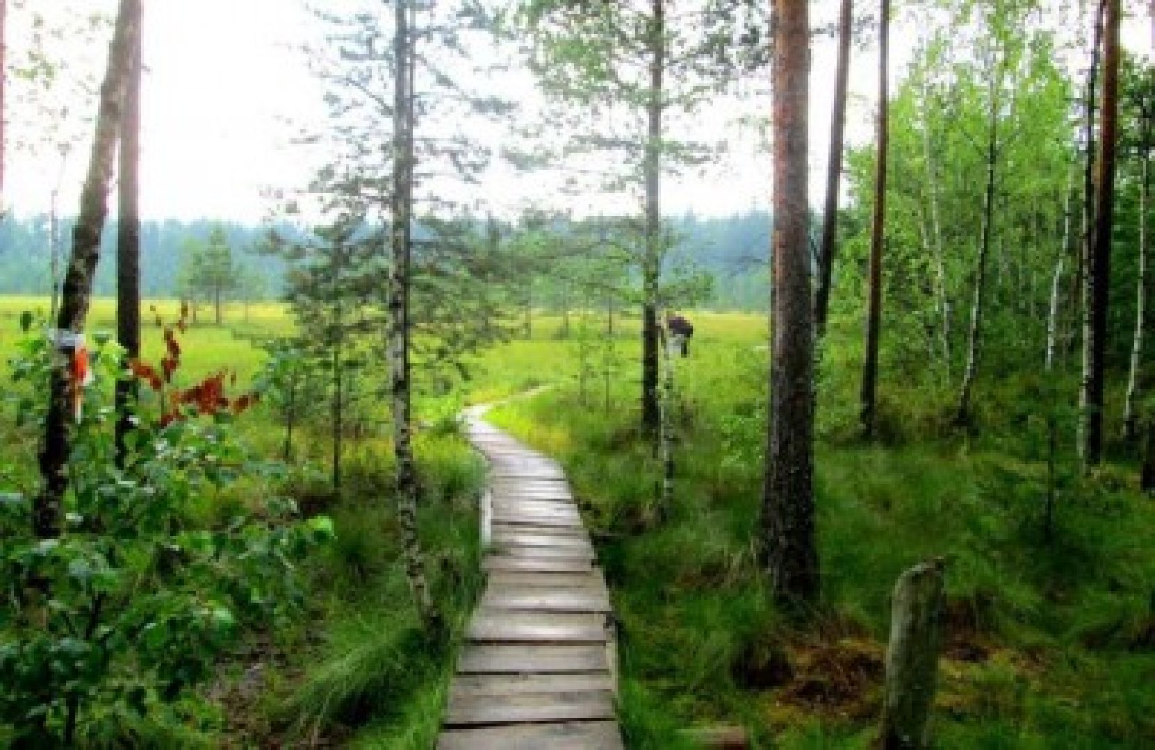 Звенигород, музей, Манеж, уникальная природа Звенигорода, интерактивная лекция