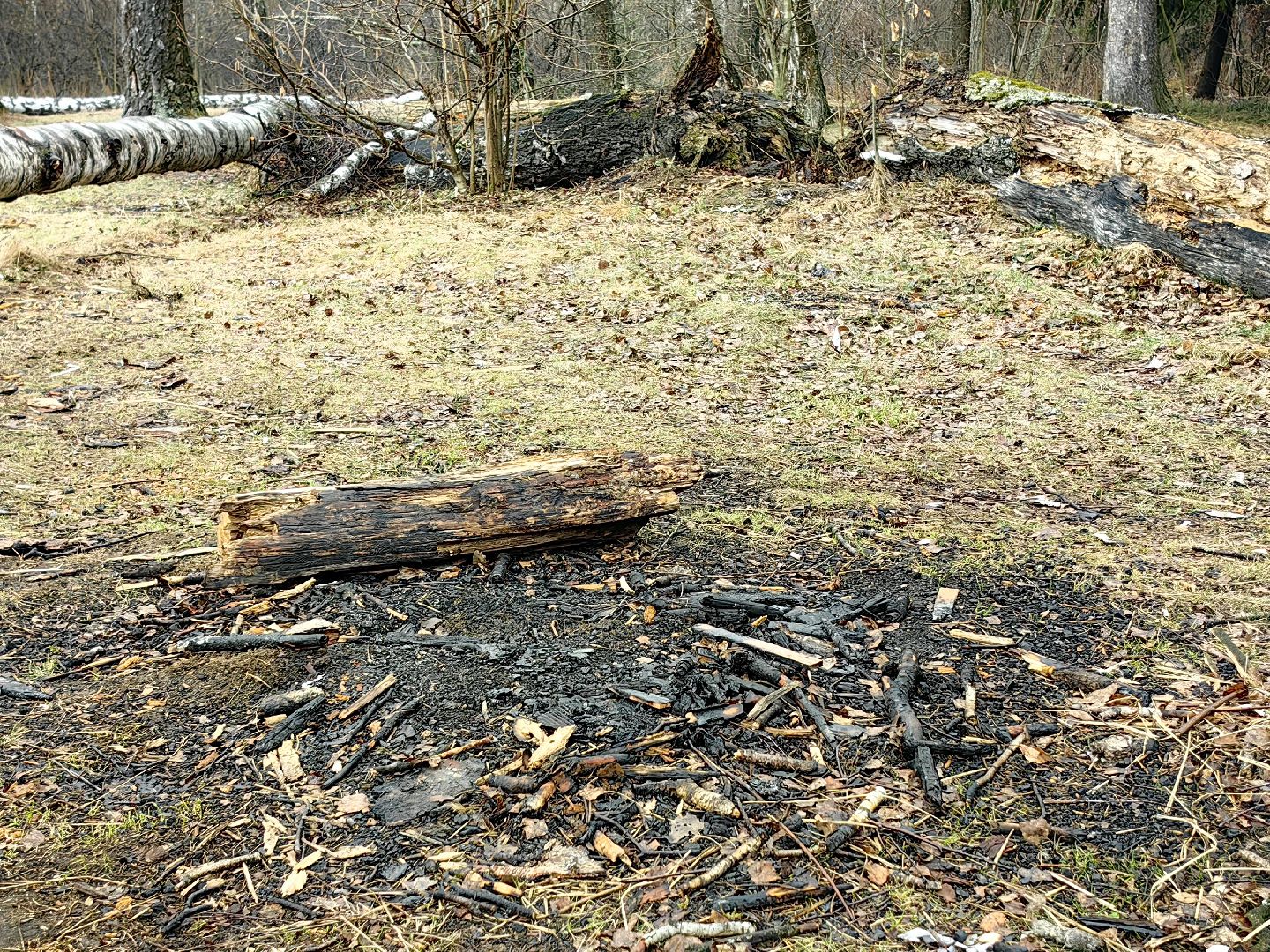 пожар, сезон, лес, служба, служба 112,