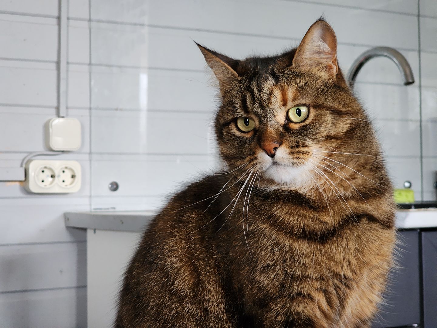 егорьевск, Подмосковье, Московская область,