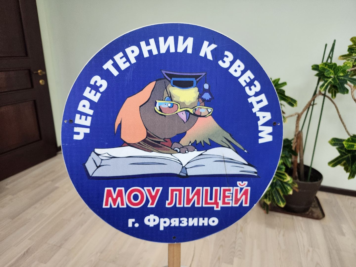 фрязино, запись в 1 класс, образование, первоклассники подмосковья, лицей,