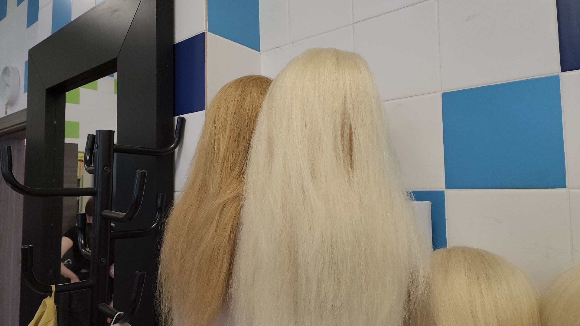 красногорск, созвездие, абилимпикс,