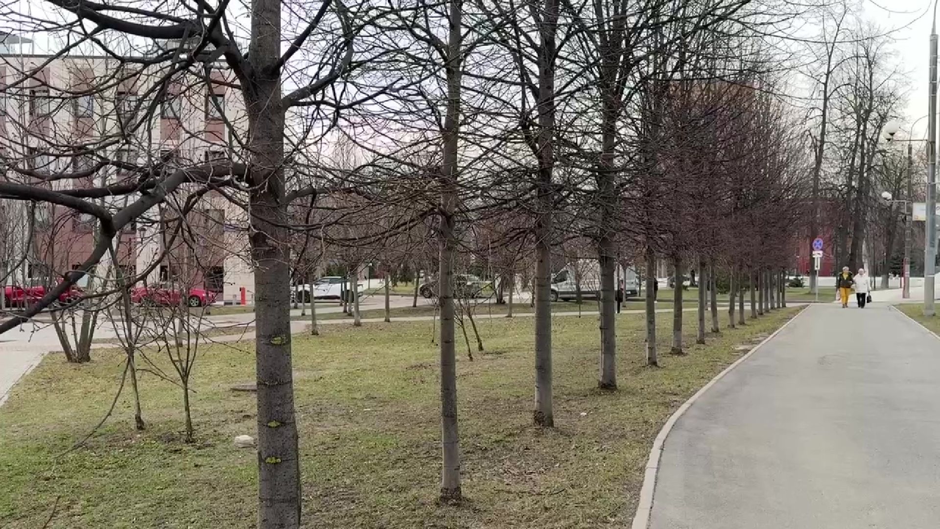 реутов, сквер, троицкий храм, благоустройство, деревья,