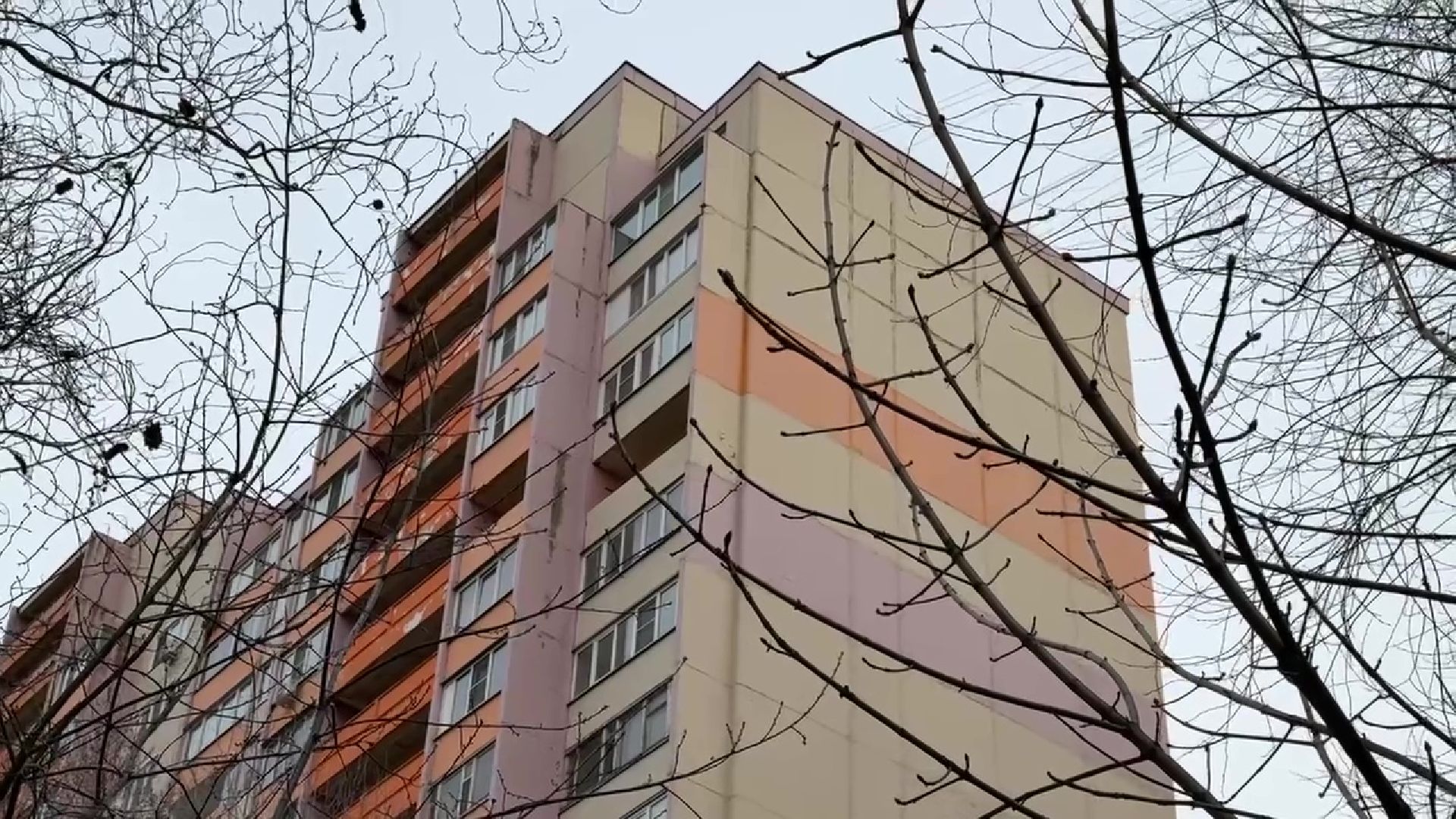 реутов, сквер, троицкий храм, благоустройство, деревья,