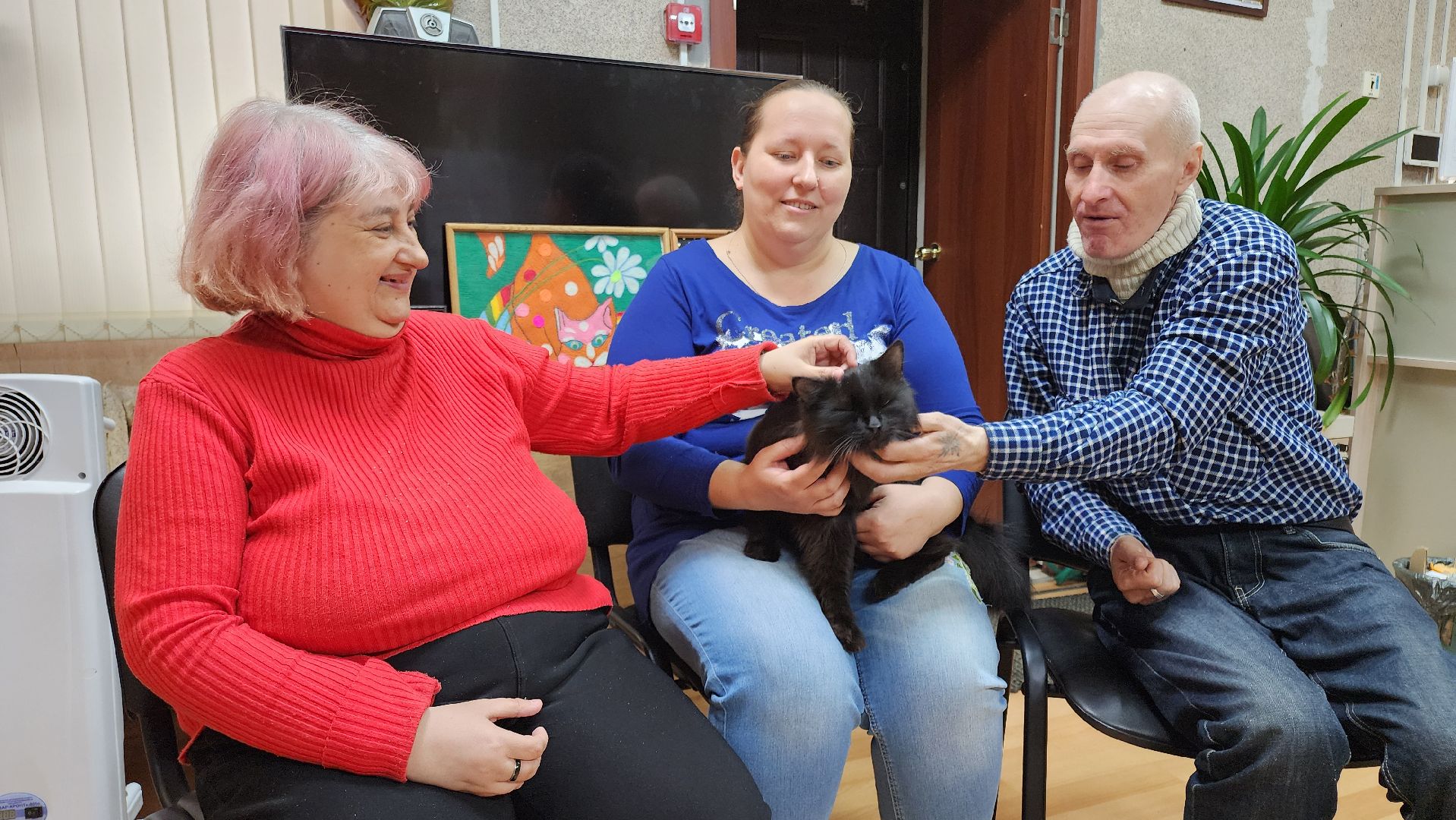 кашира, активное долголетие, инвалиды, пожилые люди, кот, кототерапия, животные,