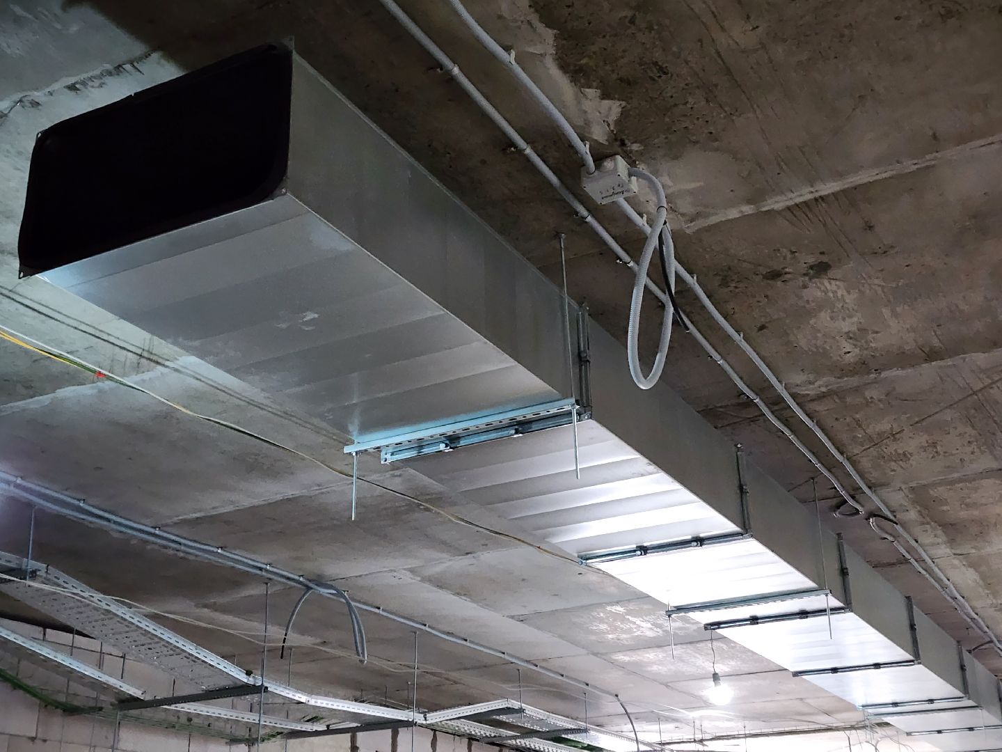 королёв, образование в подмосковье, губернатор воробьев,