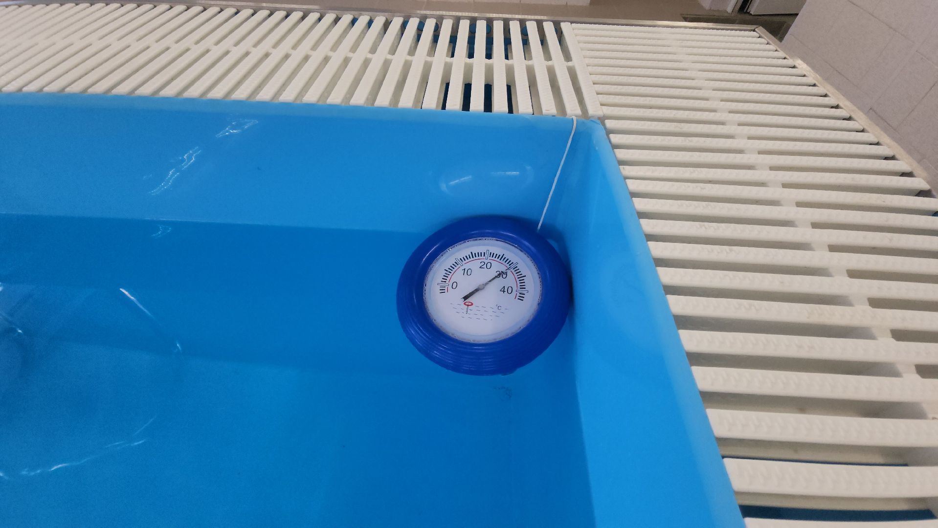 красногорск, созвездие, дошкольное отделение, бассейн, строителтство,