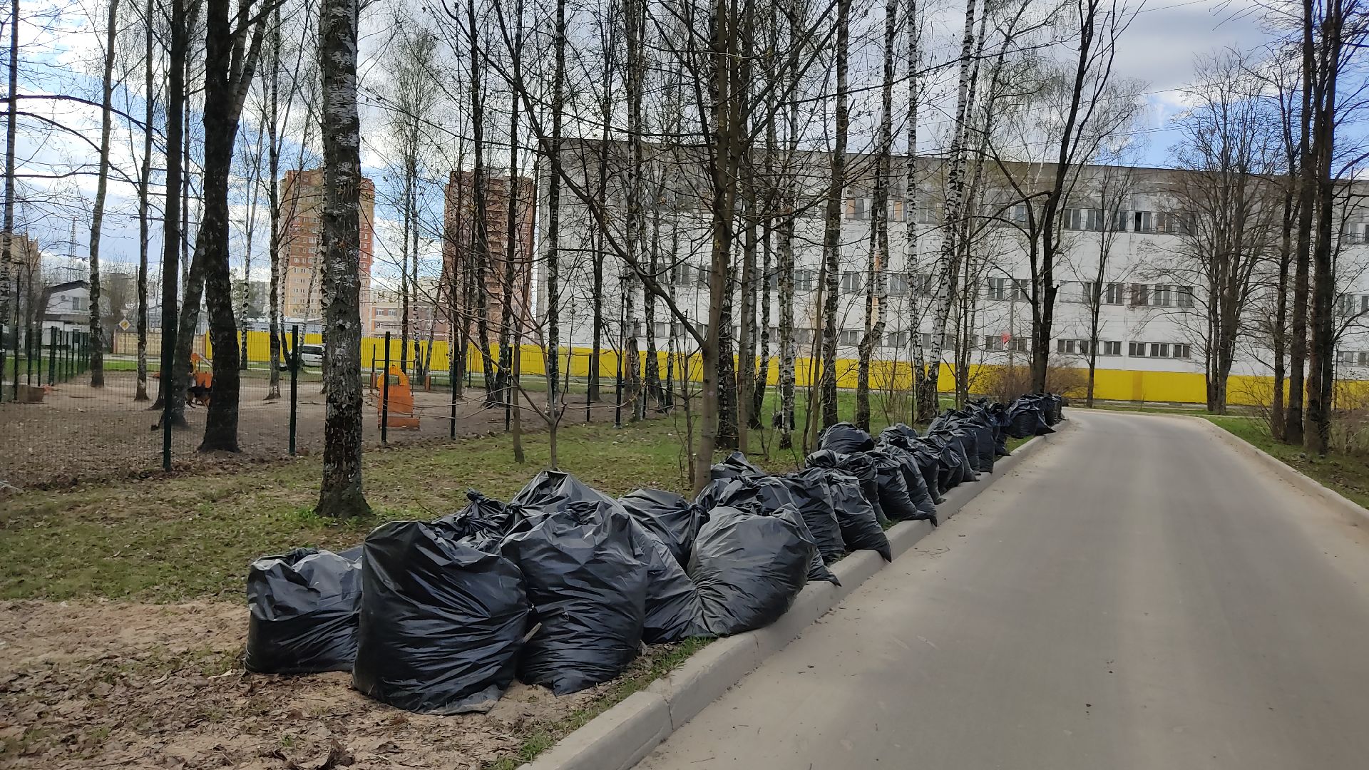 Лобня, благоустройство, суббоьник