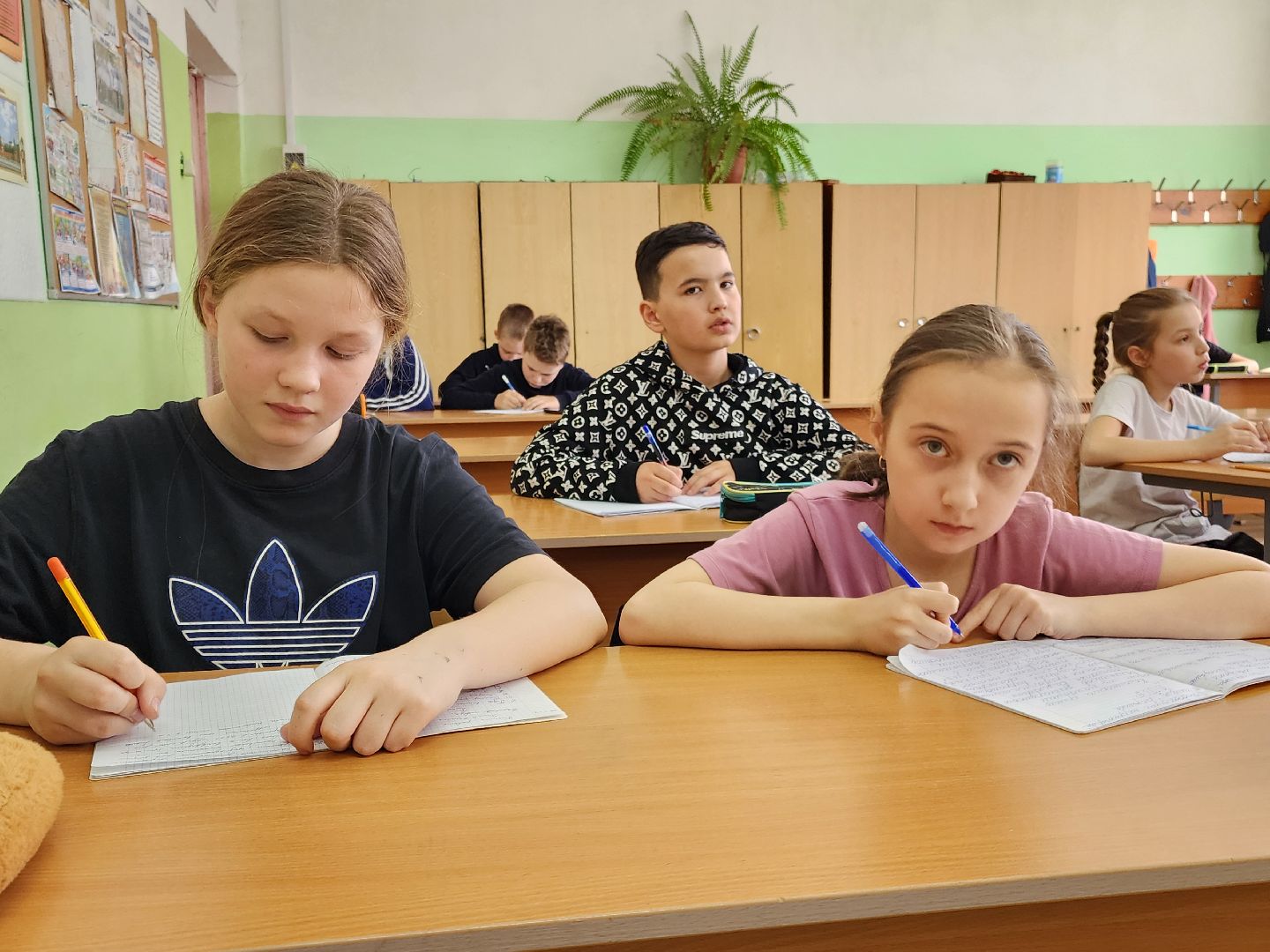 образование, 1 класс, госуслуги,