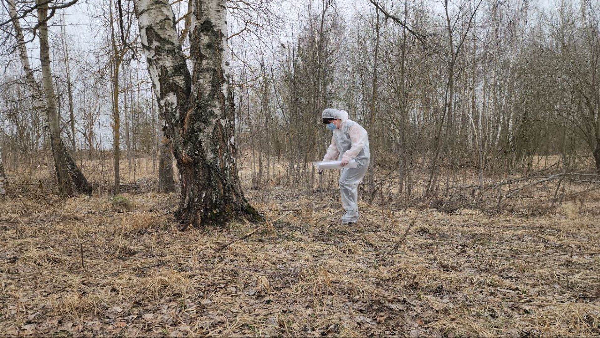луховицы, вакцинация от бешенства, вакцинация диких животных,