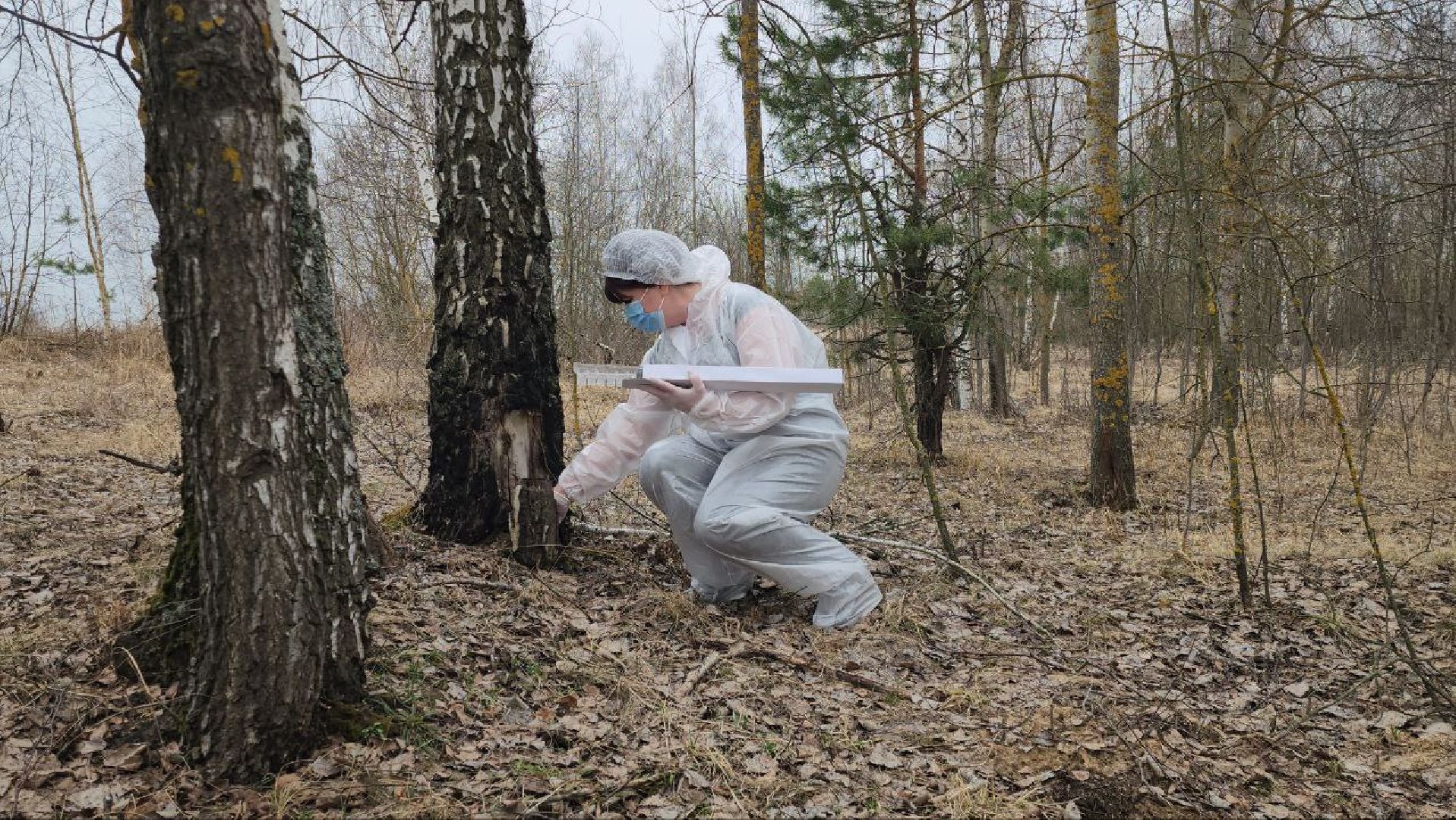 луховицы, вакцинация от бешенства, вакцинация диких животных,