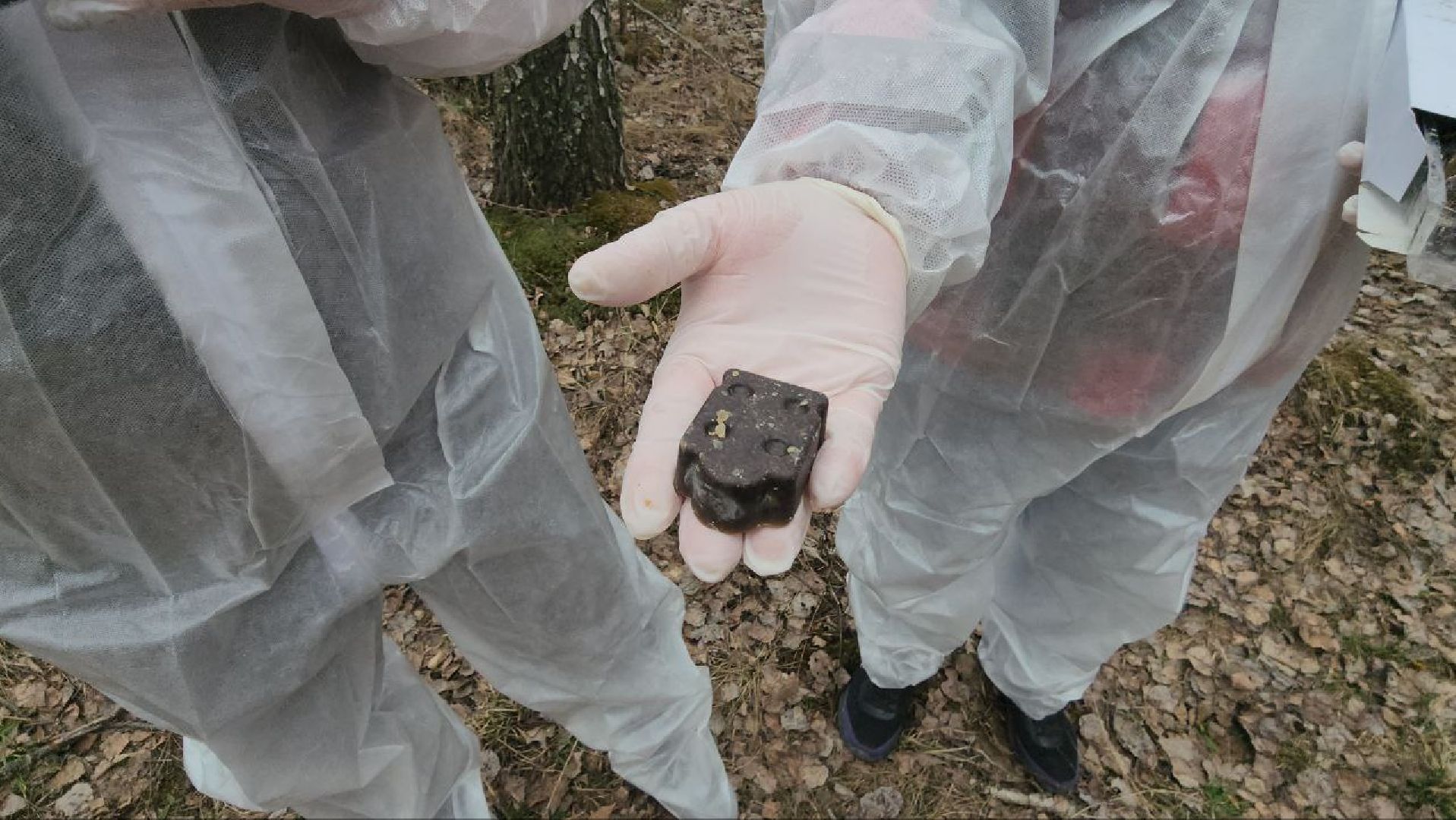 луховицы, вакцинация от бешенства, вакцинация диких животных,