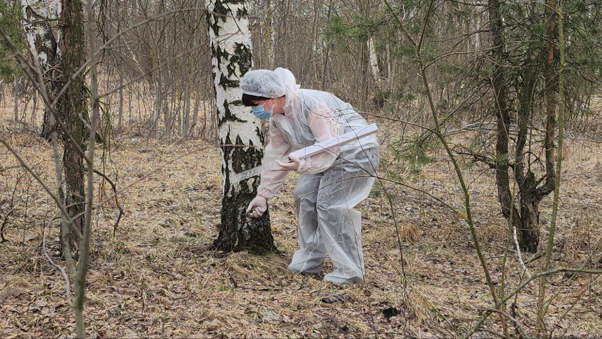 луховицы, вакцинация от бешенства, вакцинация диких животных,