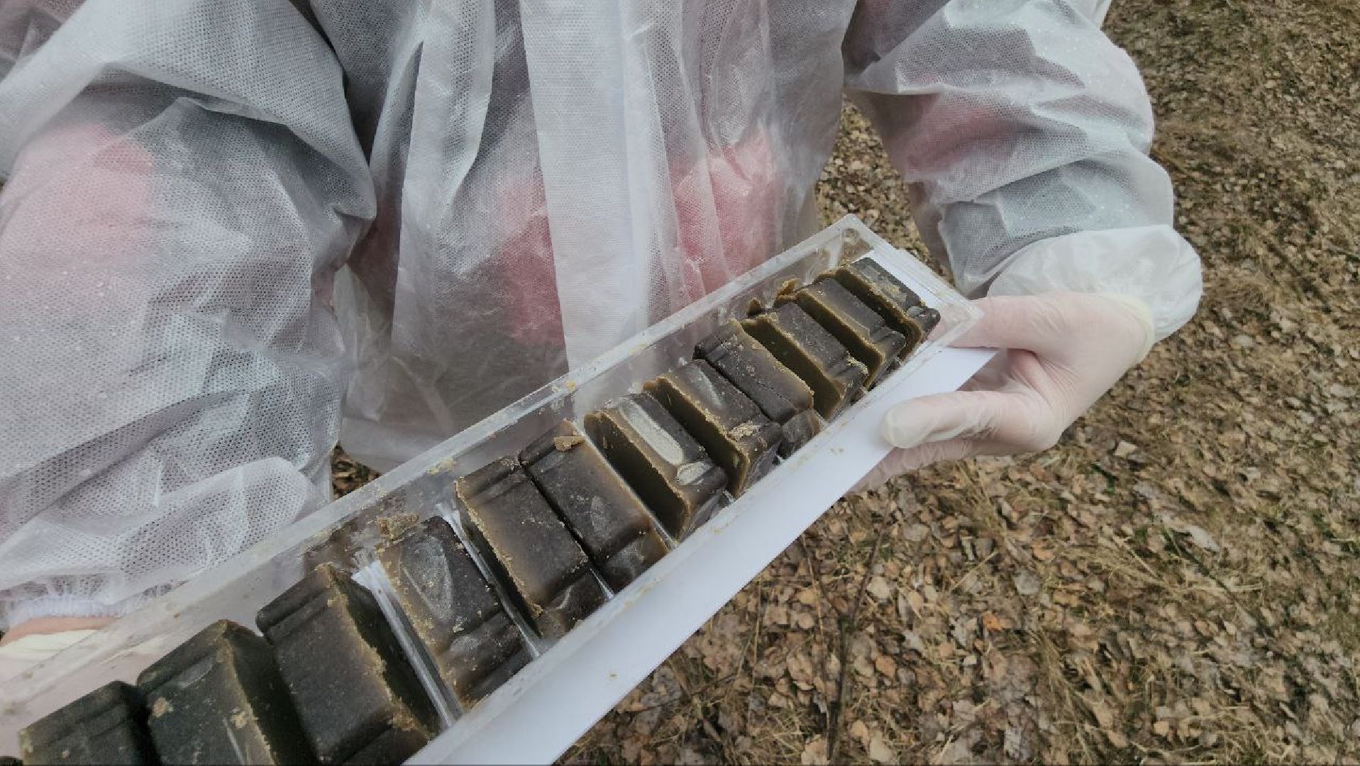 луховицы, вакцинация от бешенства, вакцинация диких животных,