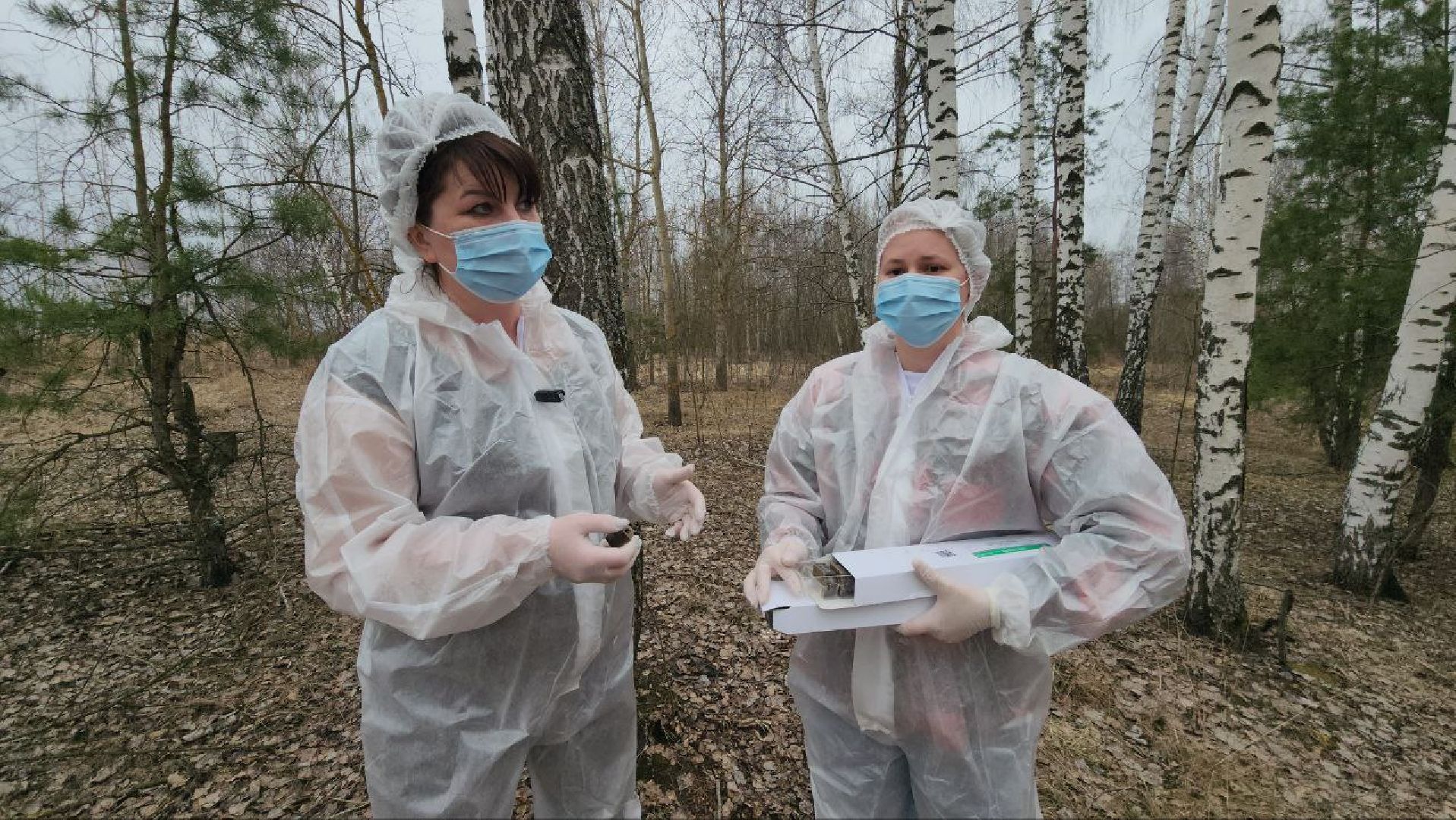 луховицы, вакцинация от бешенства, вакцинация диких животных,