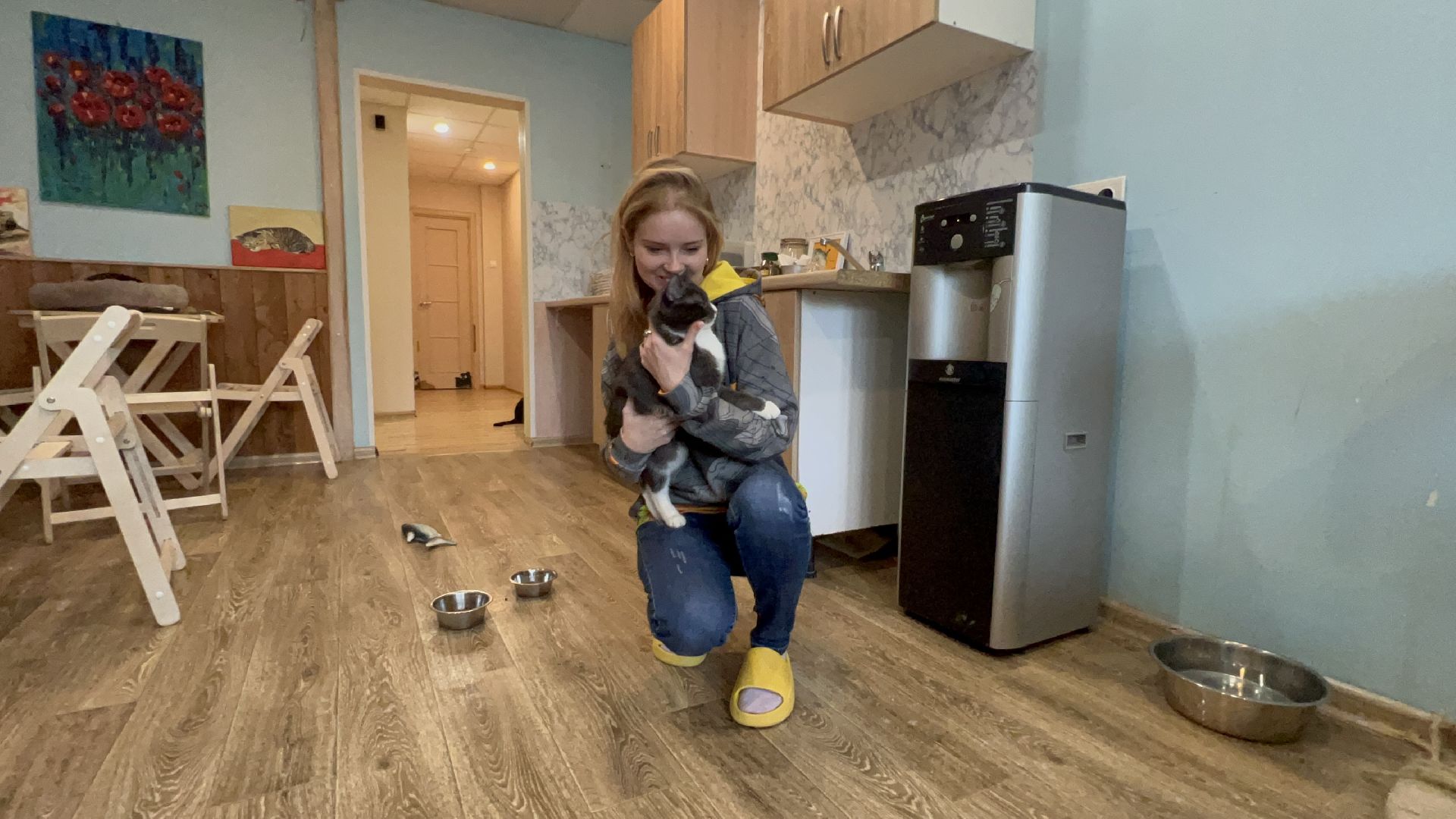 Химки, Котокафе, Животные,