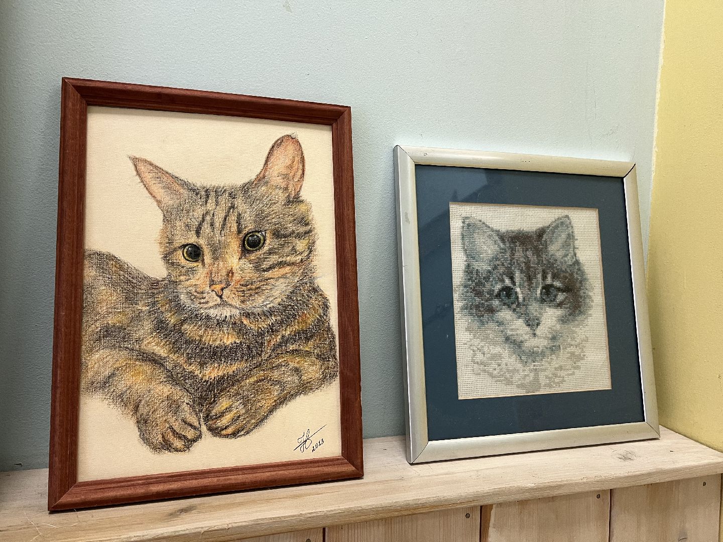 Химки, Котокафе, Животные,