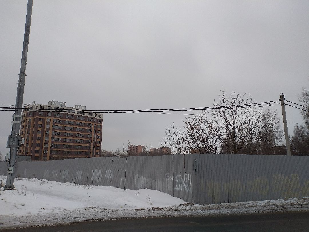 Лосино-Петровский, общество