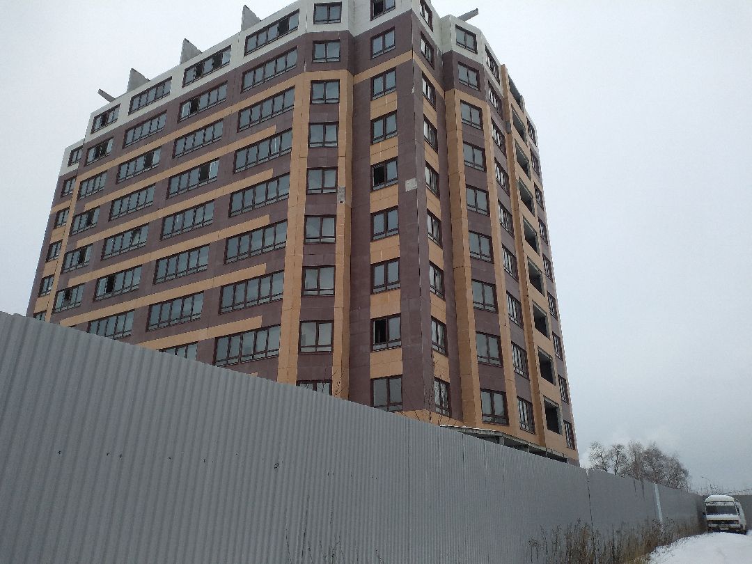 Лосино-Петровский, общество