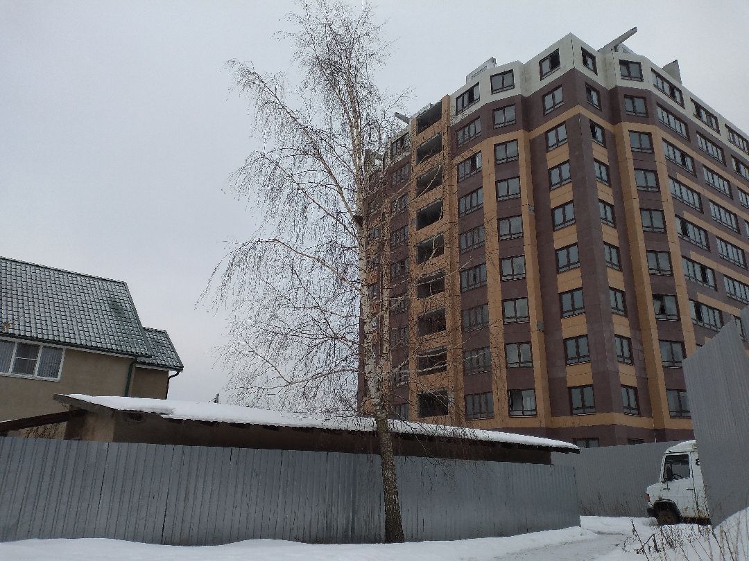 Лосино-Петровский, общество