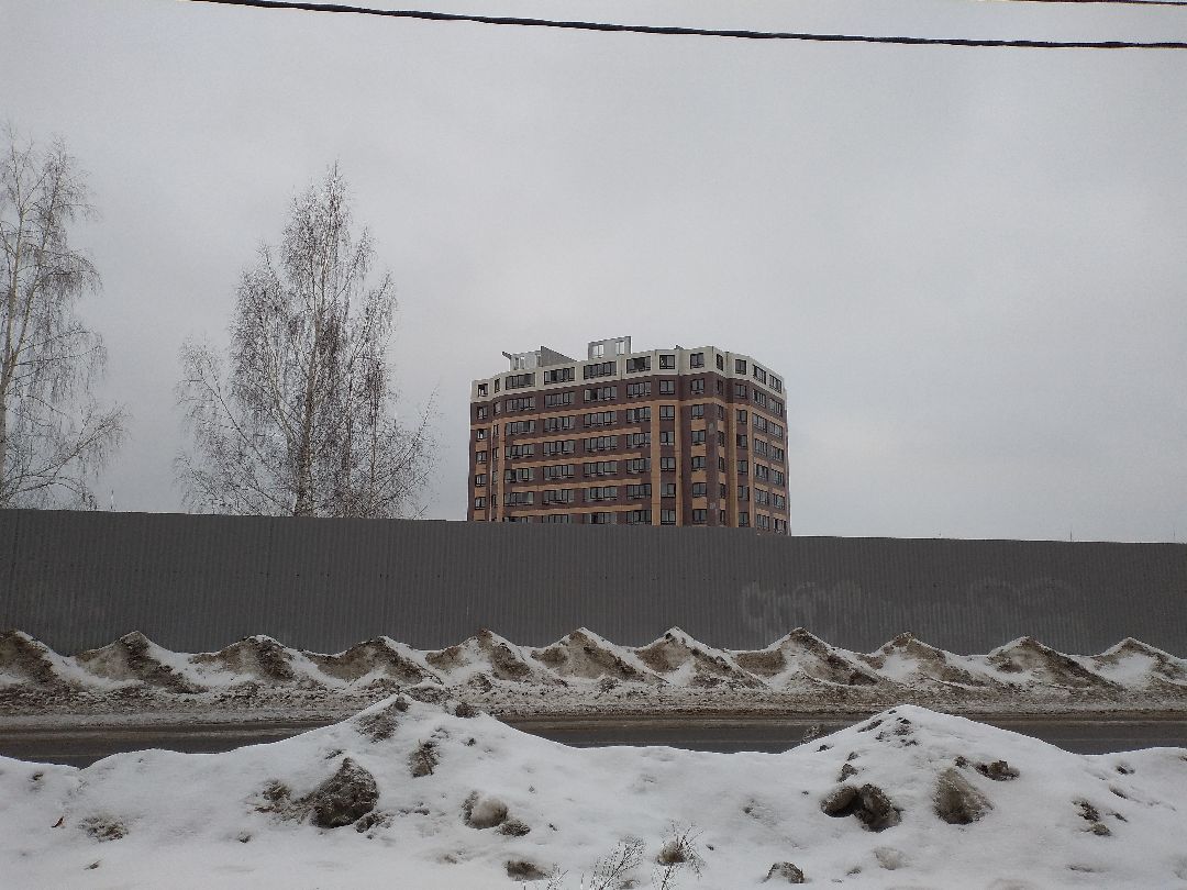 Лосино-Петровский, общество