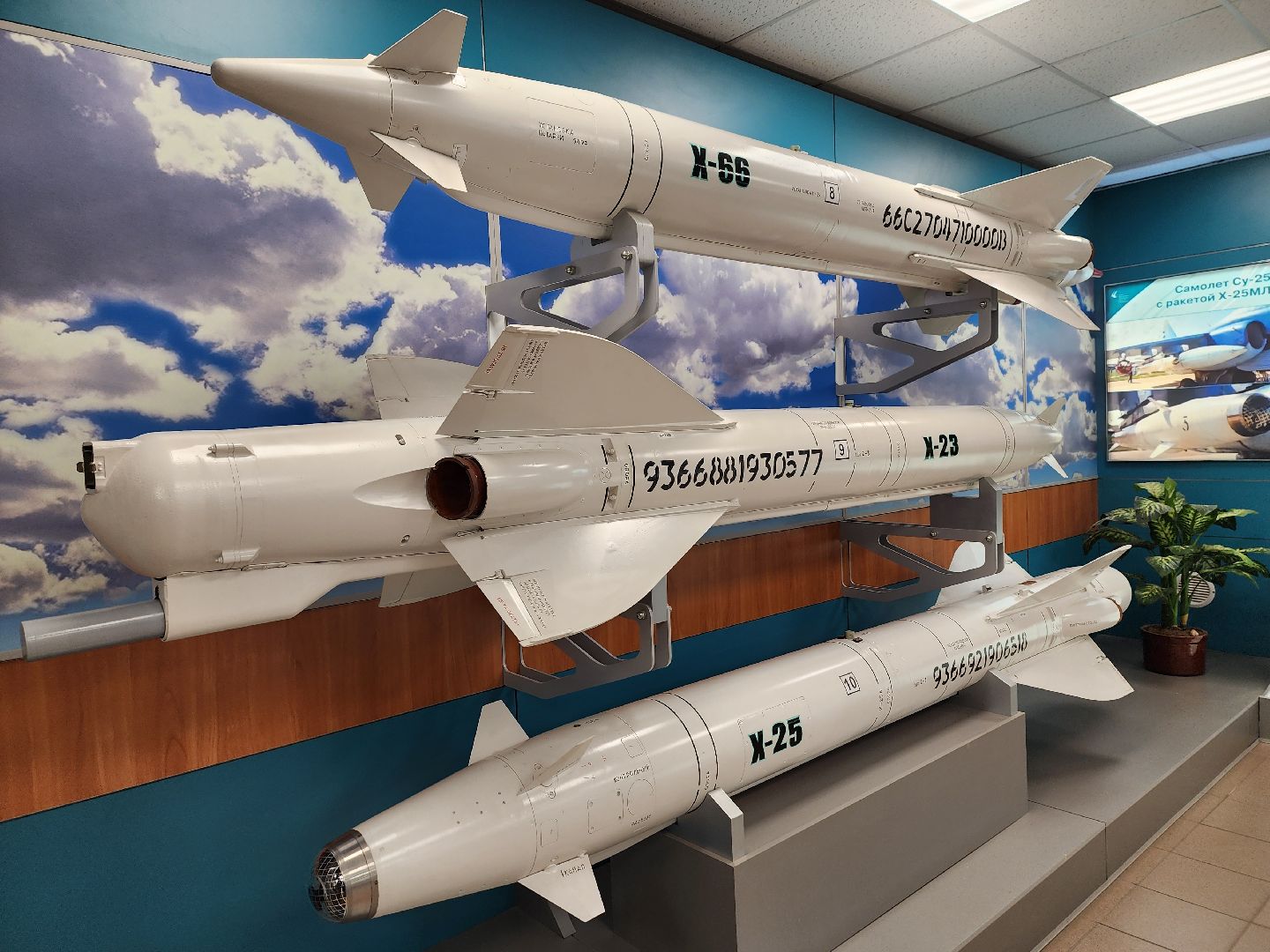 королёв, вооруженные силы рф, студенты колледжей,