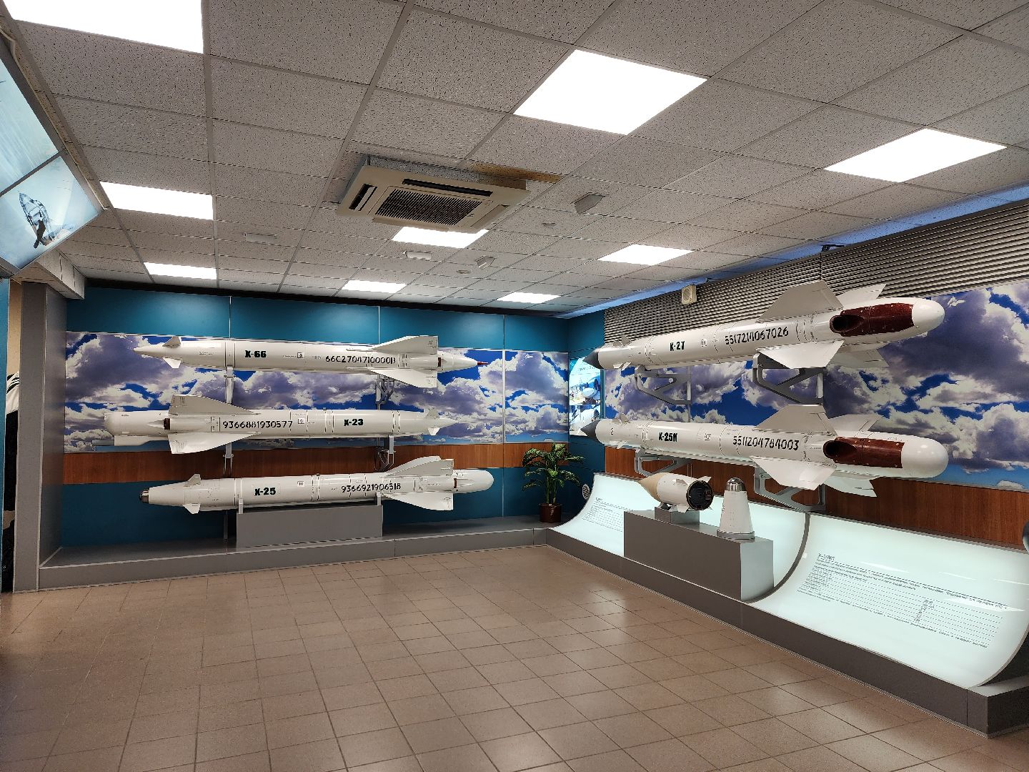 королёв, вооруженные силы рф, студенты колледжей,