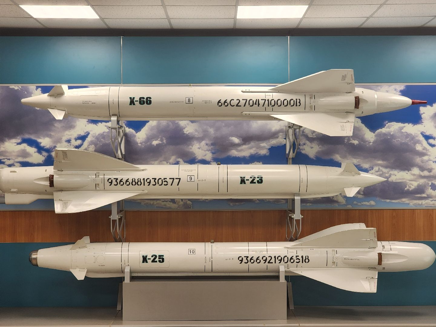 королёв, вооруженные силы рф, студенты колледжей,