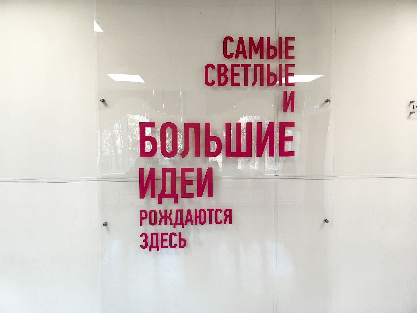 школа, первый класс, этап зачисления, бесшовный переход,