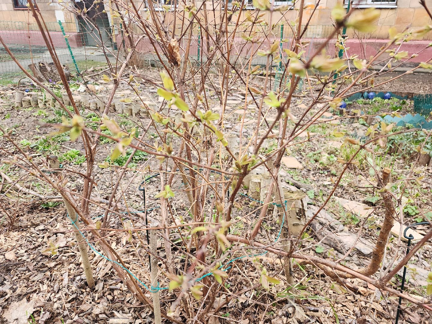 фрязино, поликлиника, аллергия, аллергия под контролем,