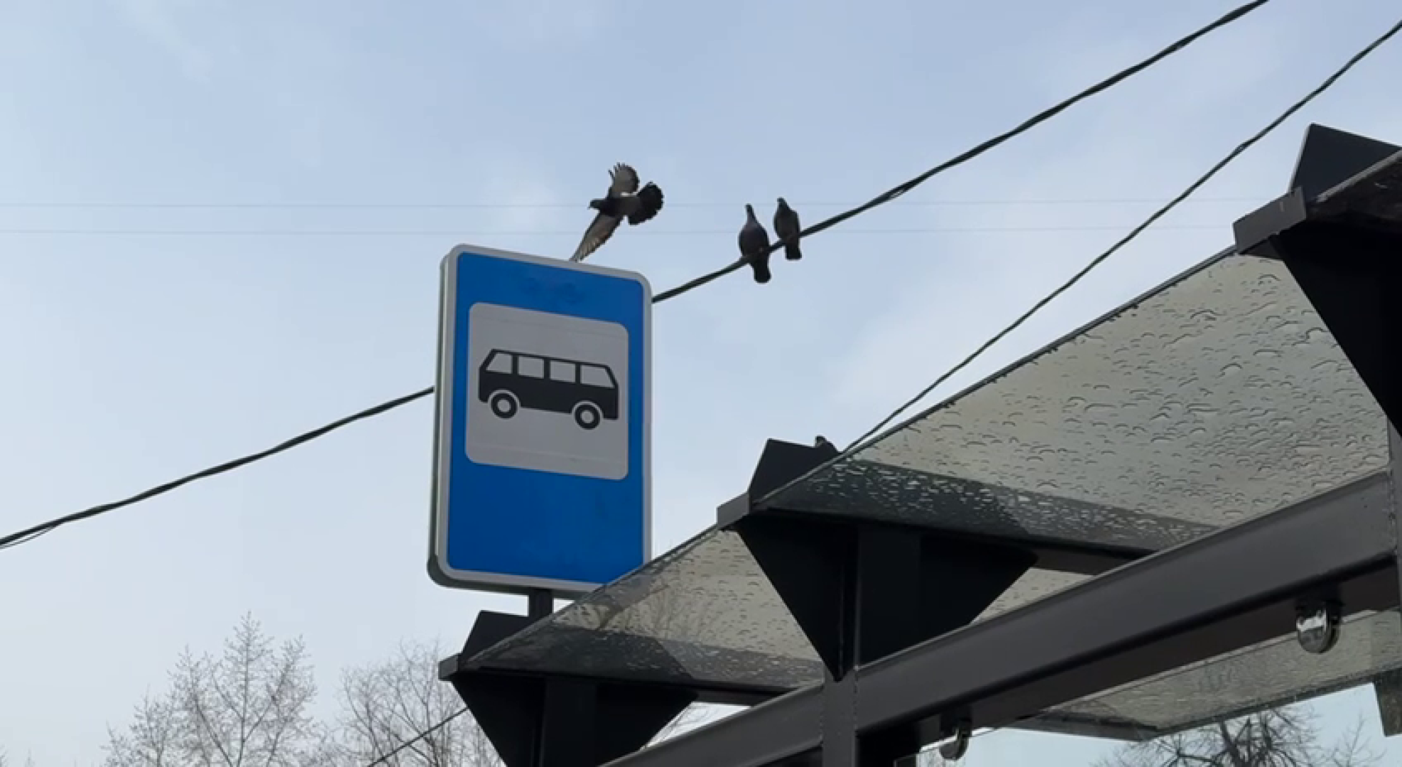 реутов, транспорт, остановки, пассажиры,