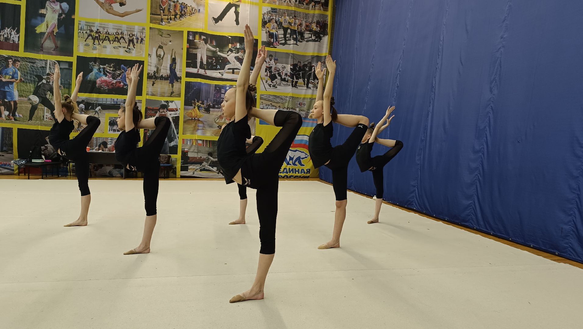 спорт, эстетическая гимнастика, лобня,