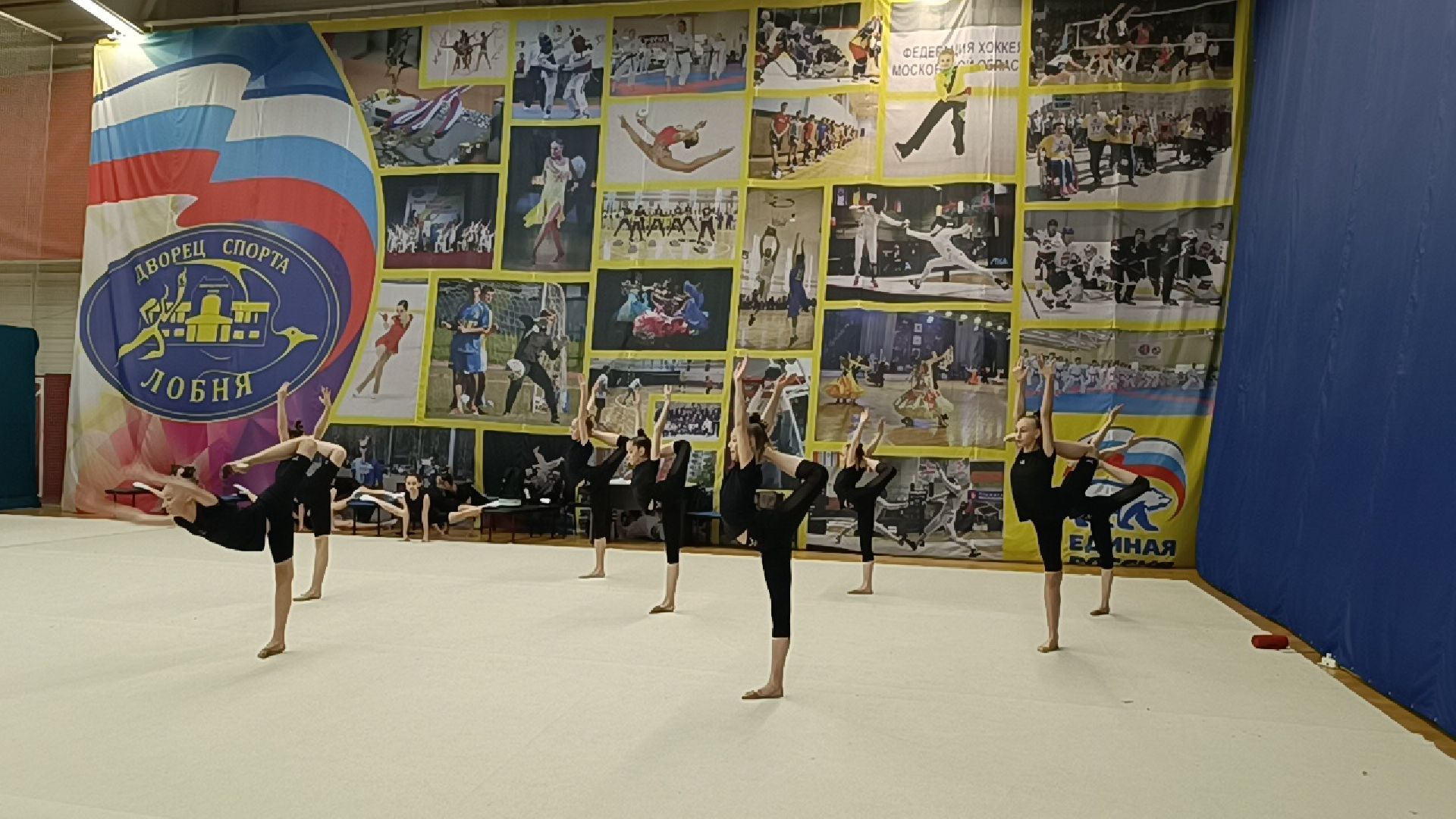 спорт, эстетическая гимнастика, лобня,
