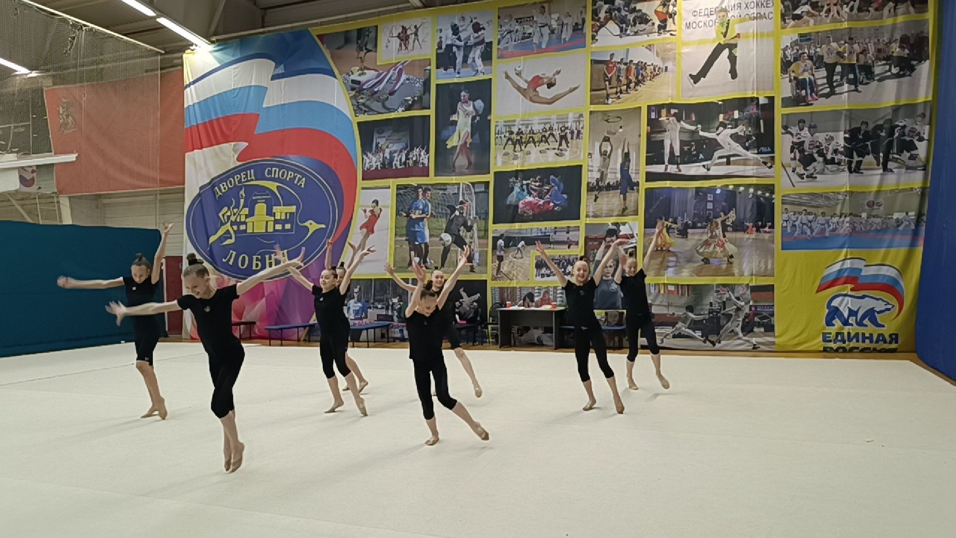 спорт, эстетическая гимнастика, лобня,