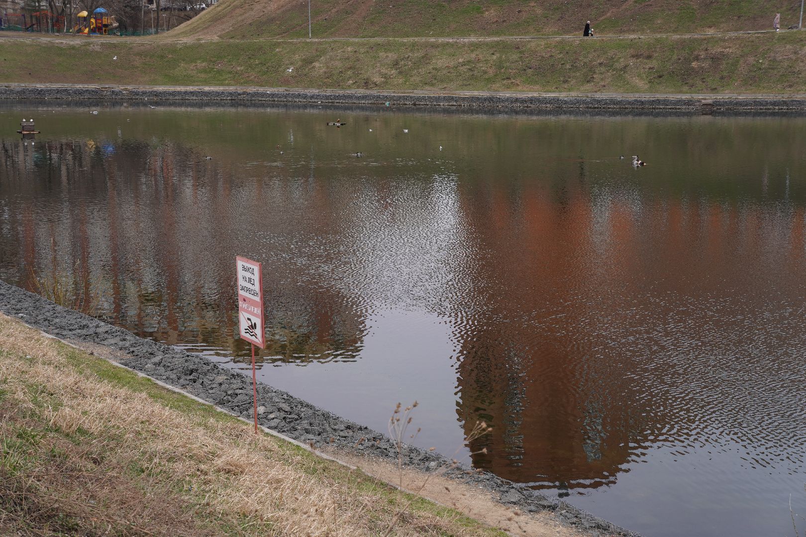 котельники, благоустройство, пруд, микрорайон силикат,
