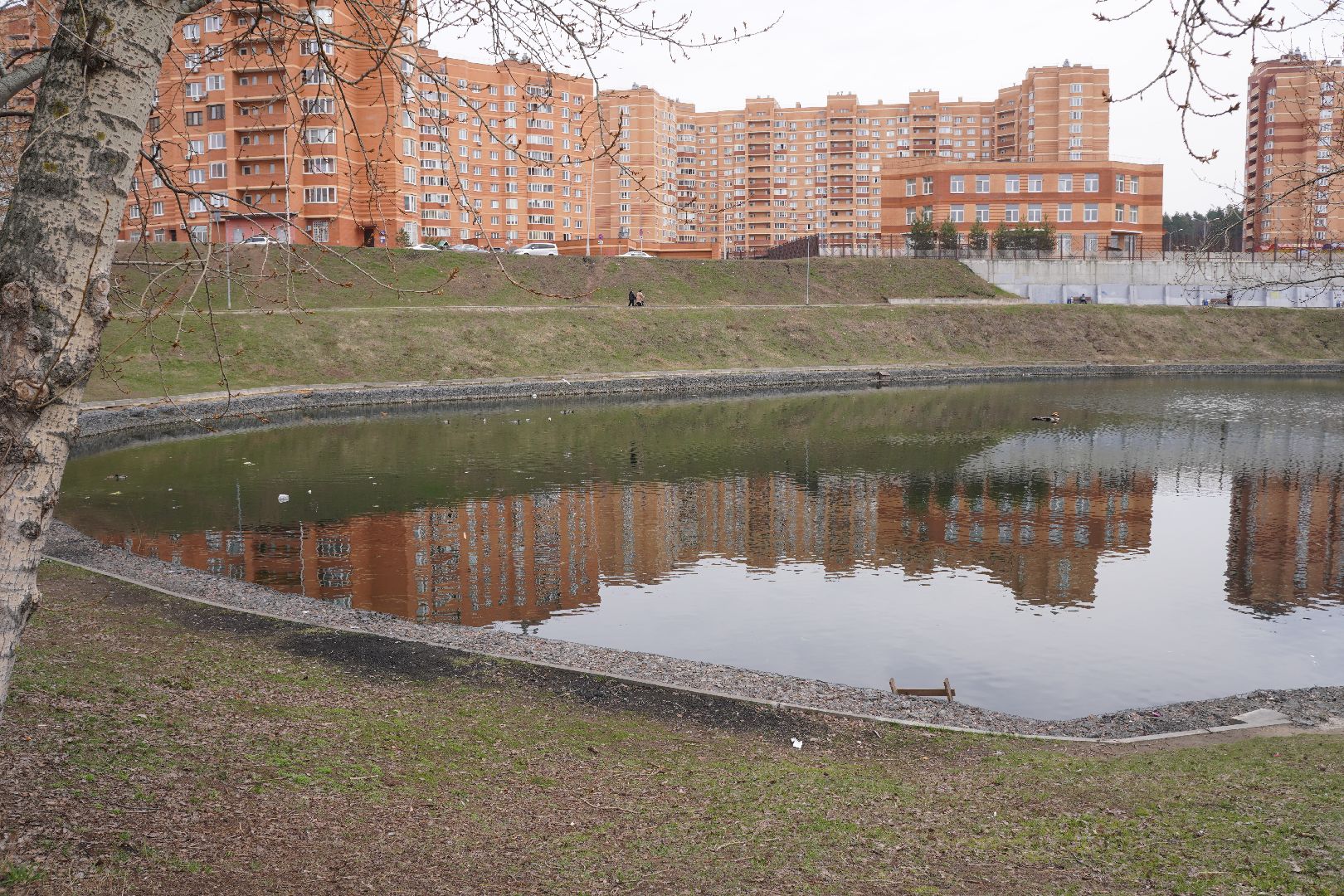 котельники, благоустройство, пруд, микрорайон силикат,
