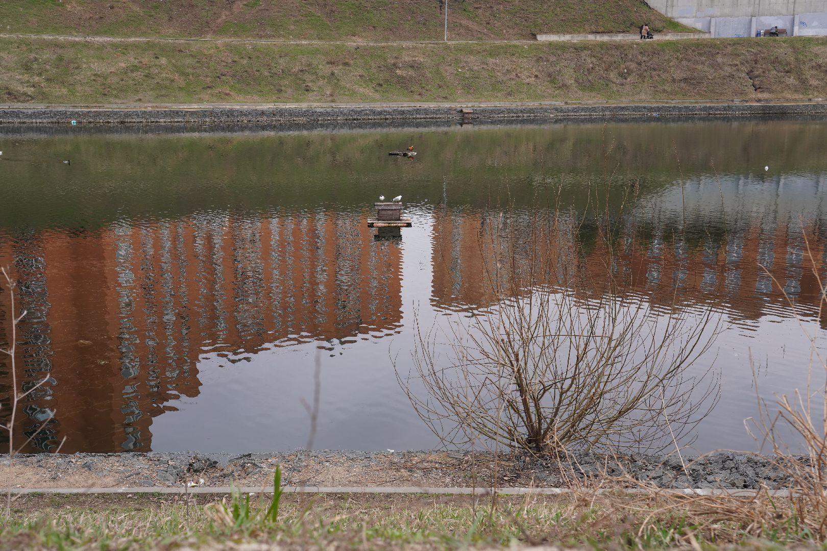 котельники, благоустройство, пруд, микрорайон силикат,