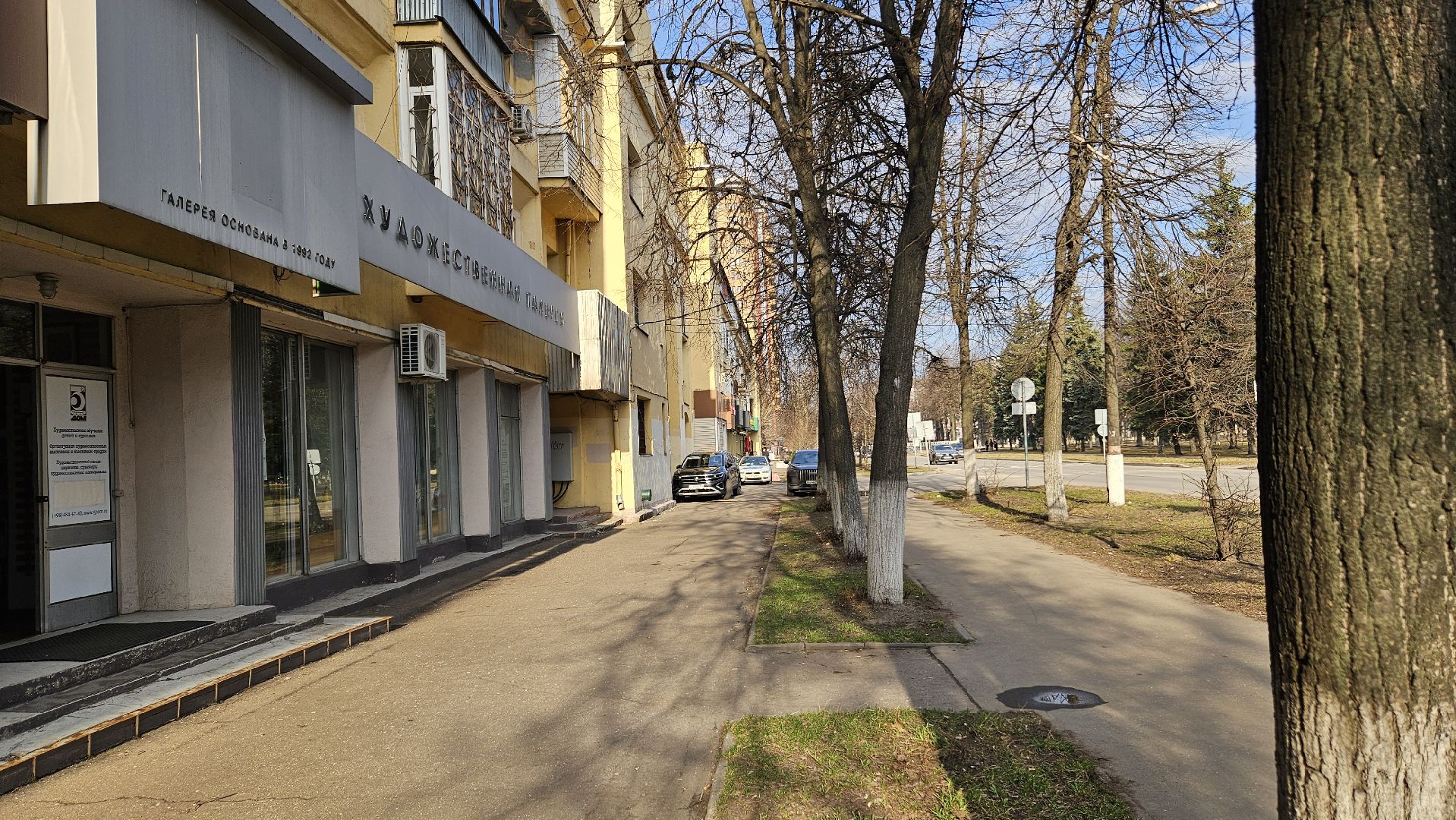 выставка, художник, картина,