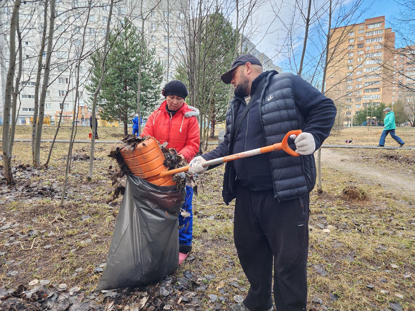 фрязино, уборка веток, уборка газонов, сухостойное дерево,
