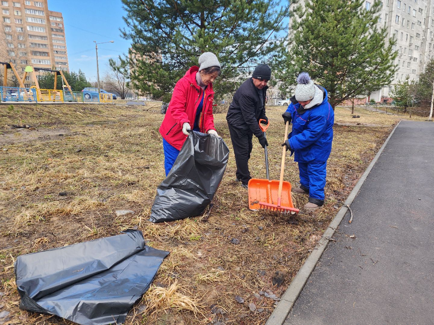 фрязино, уборка веток, уборка газонов, сухостойное дерево,
