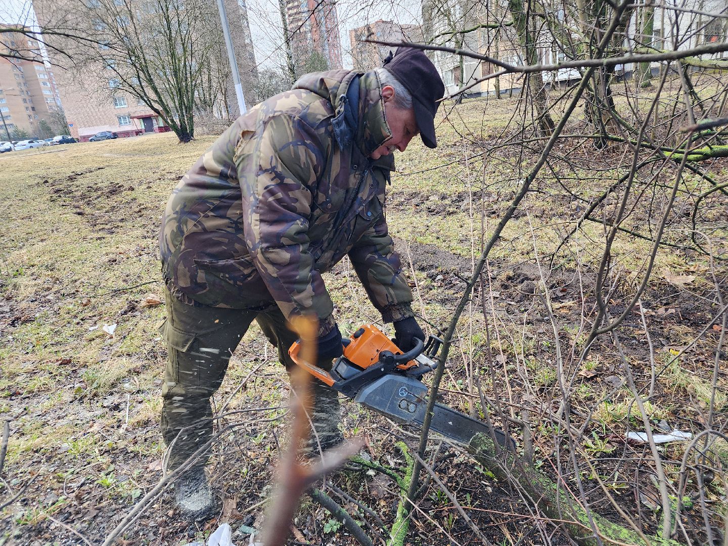 фрязино, уборка веток, уборка газонов, сухостойное дерево,