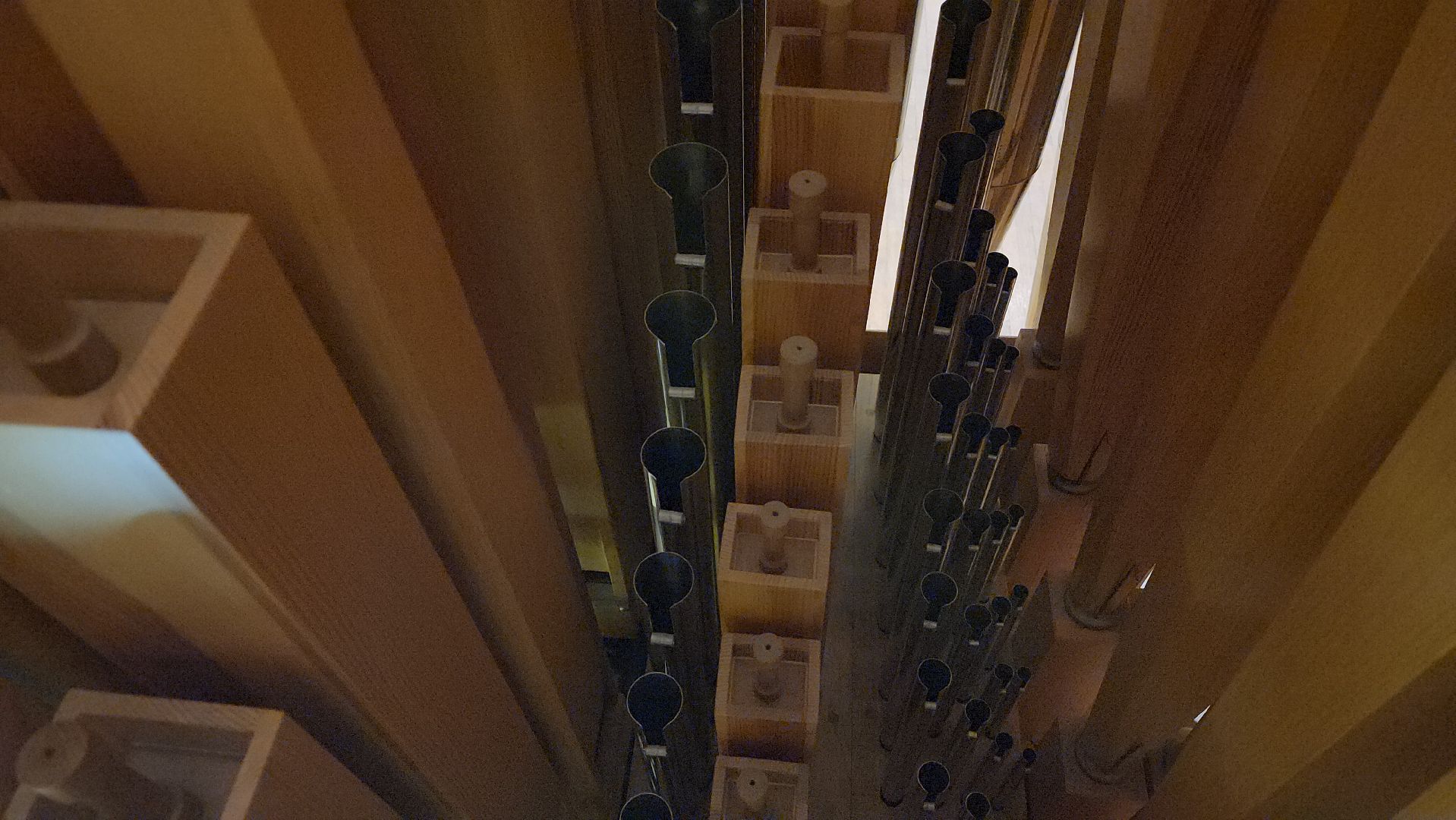 красногорск, орган, алые паруса,