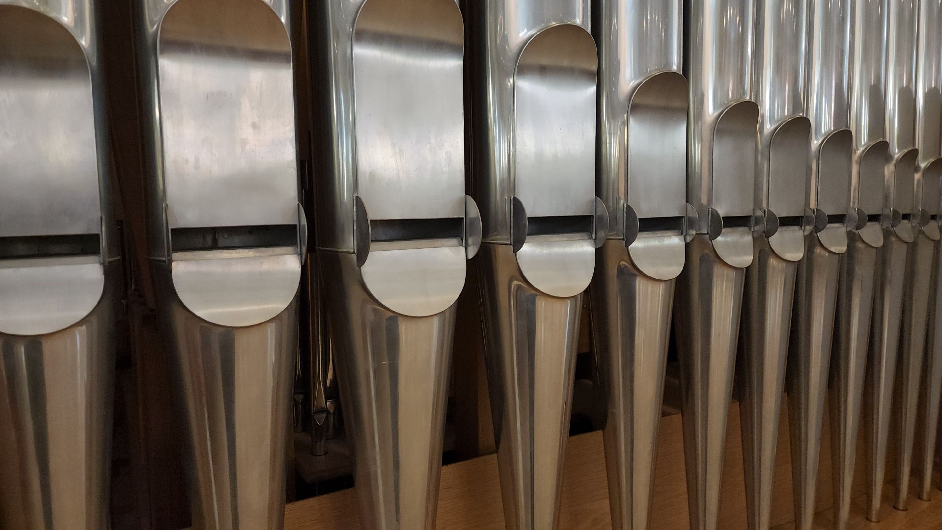 красногорск, орган, алые паруса,